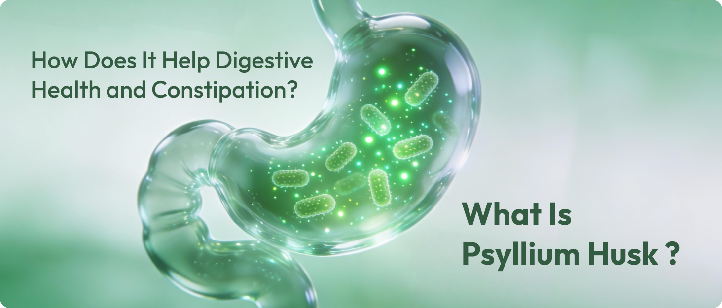 What Is Psyllium Husk and How Does It Help Digestive Health and Constipation?