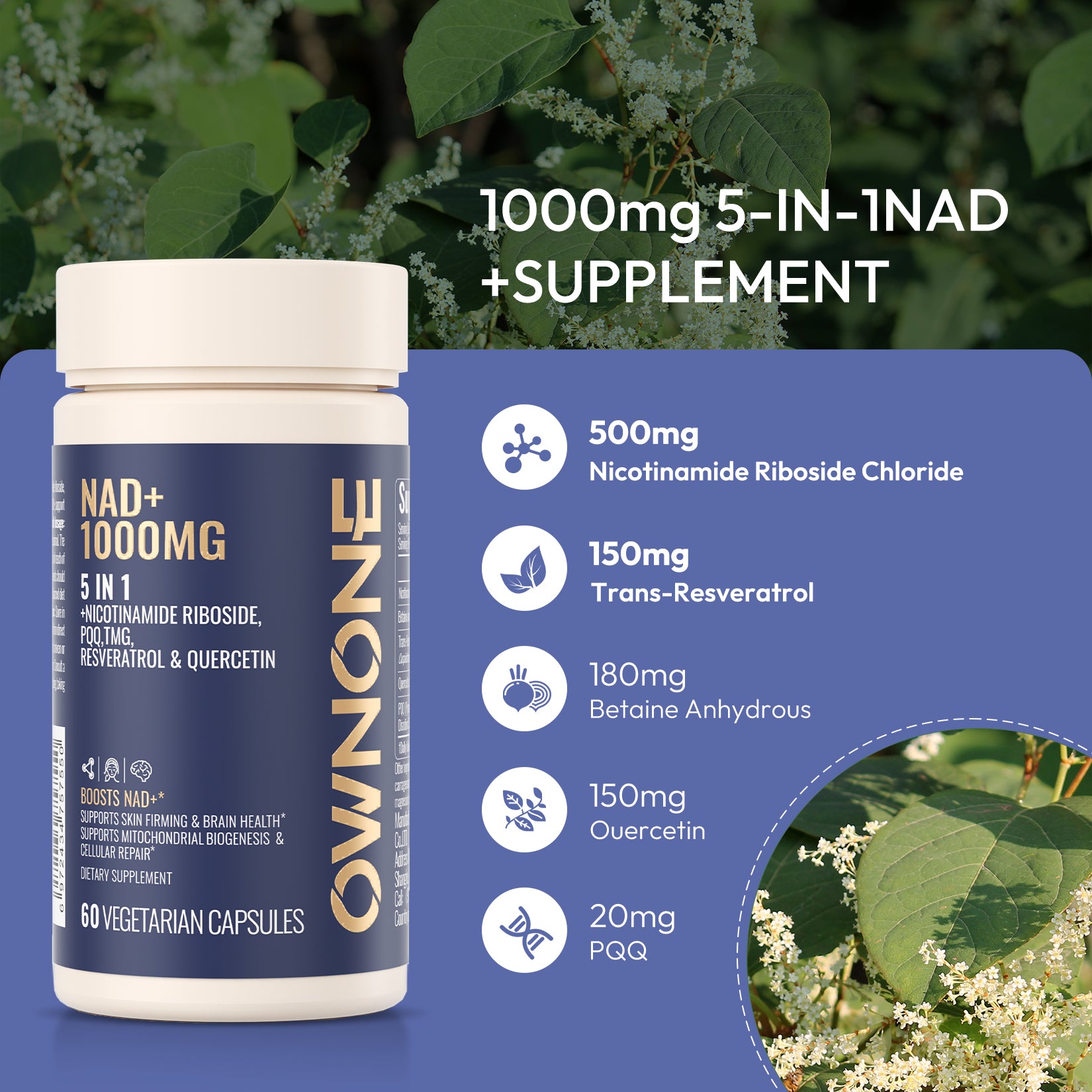 OWNONE NAD+ 1000MG – 5-in-1 Formula for Skin & Brain, Boost Cellular Energy